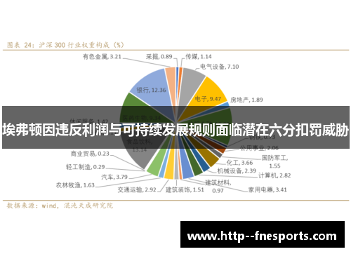 埃弗顿因违反利润与可持续发展规则面临潜在六分扣罚威胁 埃弗顿因违反利润与可持续发展规则面临潜在六分扣罚威胁