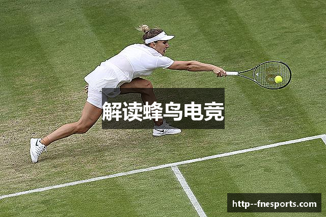 解读蜂鸟电竞